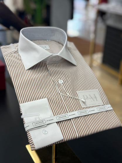 Brown Stripe Contrast White Collar Shirt