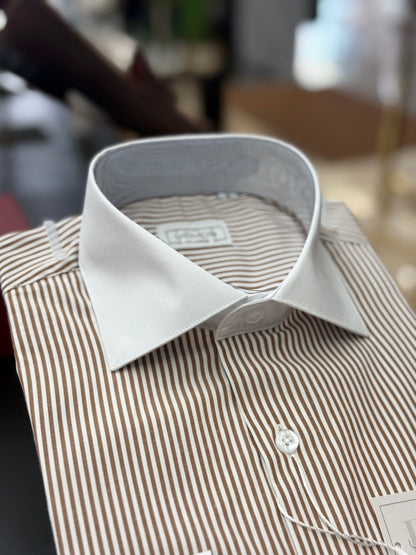 Brown Stripe Contrast White Collar Shirt