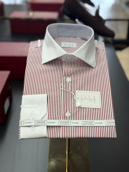 Burgundy Stripe Contrast White Collar Shirt