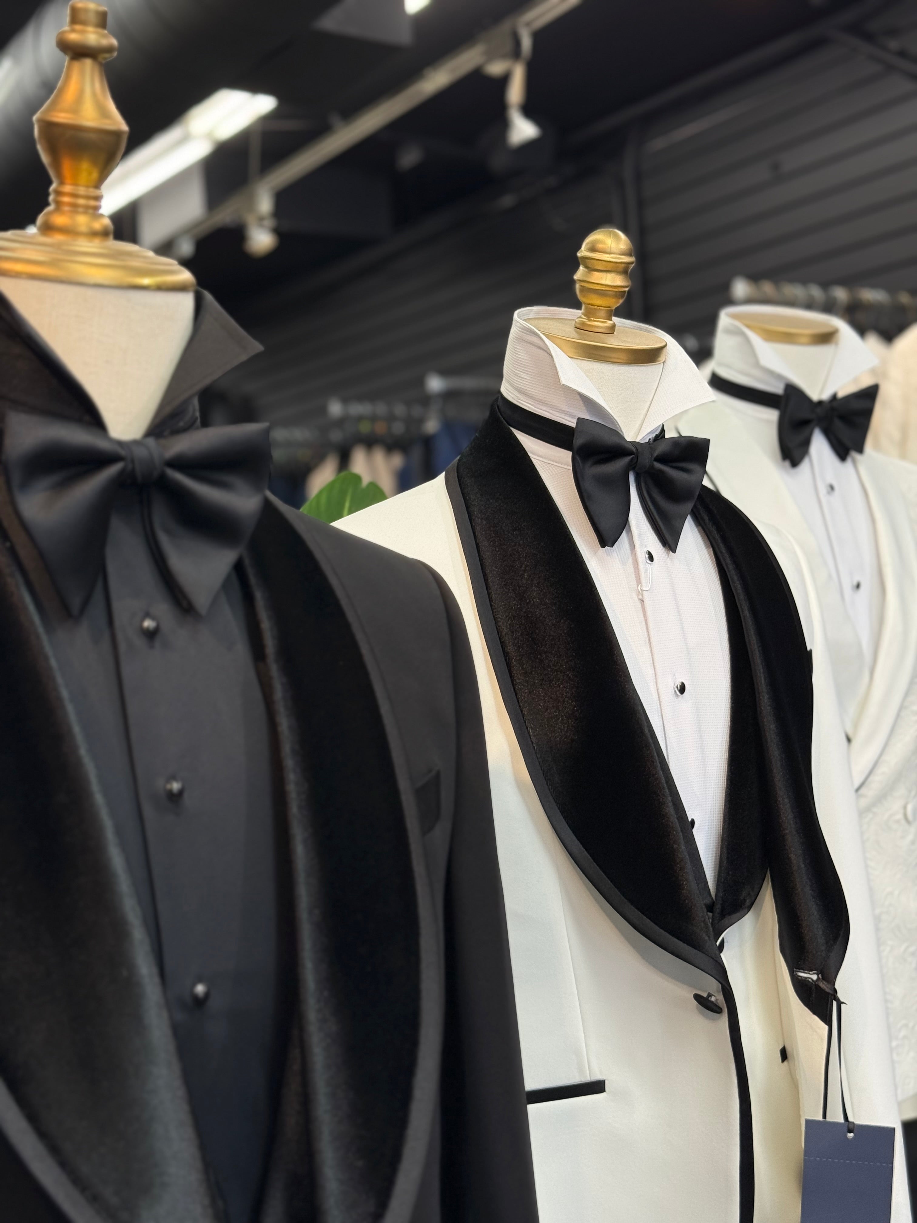 big butterfly bowtie